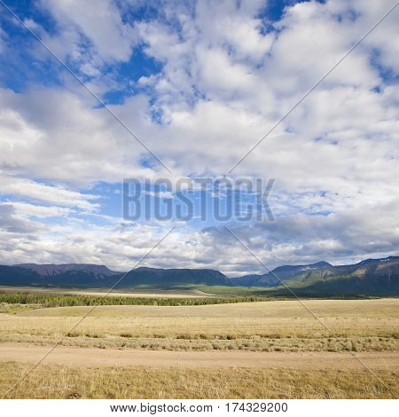 Kurai steppe landscape. Altai republic nature Russia