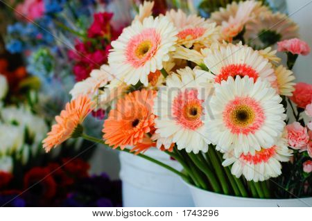 Gerber Daisy Bouqet