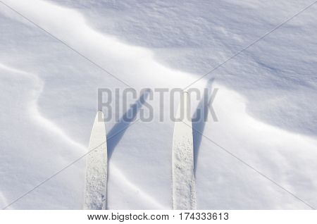 white cross country ski tips in snow