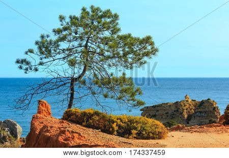 Summer Atlantic Coast View (albufeira, Portugal).