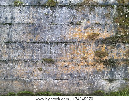 Image of Moss on old concrete wall