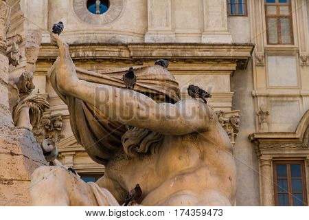 Statue The Fontana Dei Quattro Fiumi With Pigeons