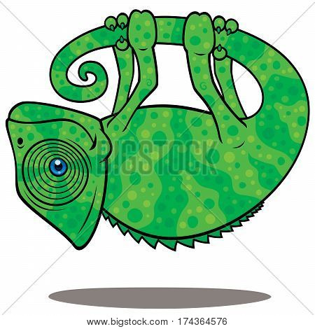 Vector cartoon illustration of a magical chameleon hanging from his own tail, levitating in the air.
