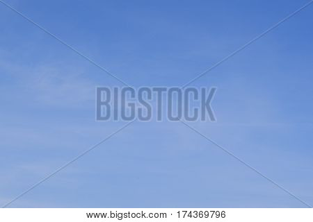the awakening of spring, blue clear sky