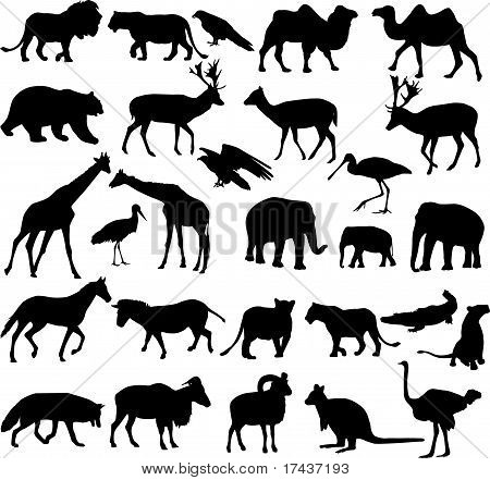 sagome di animali