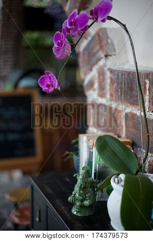 Home interior decor, a ceramic statuette of Ganesh, books and flower pots with purple orchid on black wooden commode , on a red brick wall background