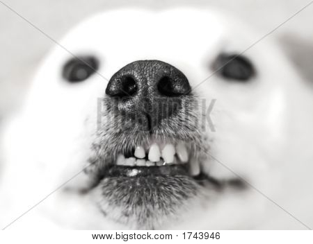 우리는 키스 하는 게