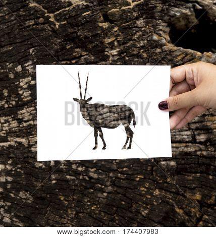 Hand Hold Gemsbok Oryx Paper Carving