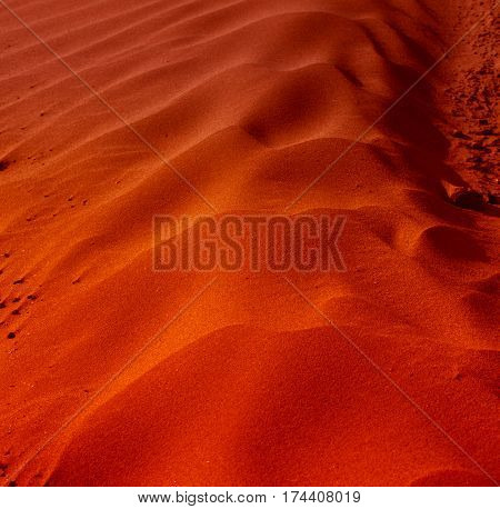 Beautiful sand dunes in the Sahara deser