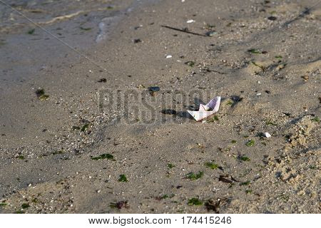 Small Paper boat on a sand beach