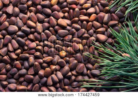 Closeup Of Pignolia Nut