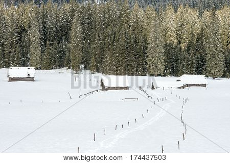 Scenic high alpine meadow Zajavornik in Slovenia during winter time