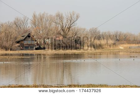 Scenic nature reserve park of river mouth of Isonzo