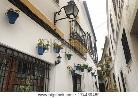 Cordoba (Andalucia Spain): old typical street in the Juderia