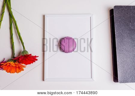 French Macaronson On White Frame