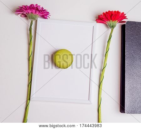 French Macaronson On White Frame