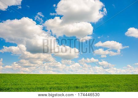 Green Grass And Blue Sky With White Clouds
