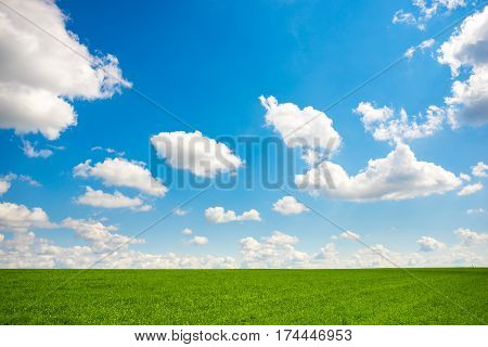 Green Grass And Blue Sky With White Clouds