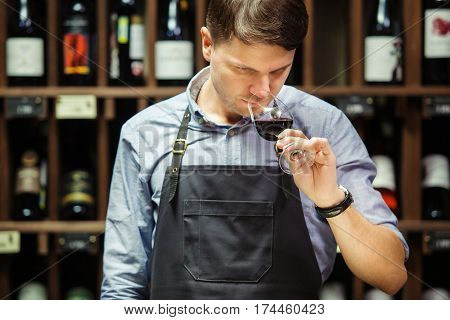 Sommelier smelling flavor of red wine in bokal on background of shelves with bottles in cellar. Male appreciating color, quality and sediments of drink. Professional degustation expert in winemaking.