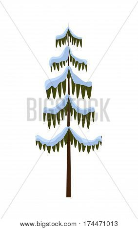 Isolated spruce on white. Illustration of Christmas tree. Evergreen tree covered with snow in cartoon style. Winter 2017 flat design Merry Christmas icon of tall wood with arbor branch vector
