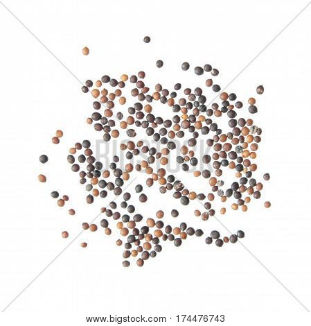 Seeds of wild thyme (Thymus serpyllum) isolated on white background