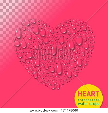 Heart from water drops on transparent background. Vector illustration.