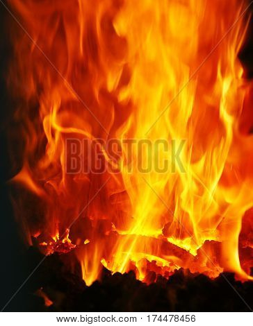 The burning fire - hot flames on black background
