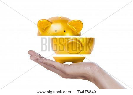 Close up of a gold piggy bank sliced into sections held in a hand on a white background
