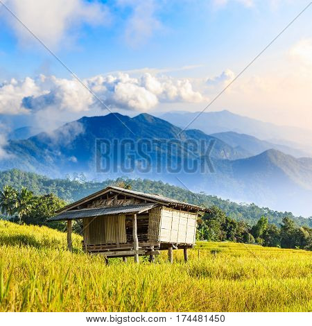 Bamboo Hut And Rice Field With Rice Stubble Left After Harvesting At Ban Pa Pong Piang At Sunset, Ch
