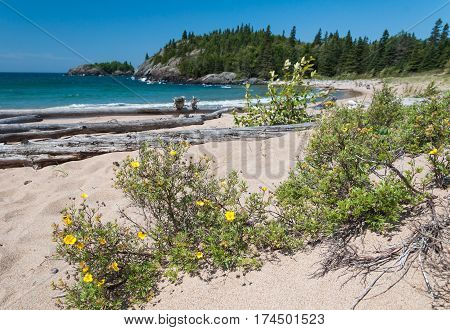 Northern shore of Great Lake Superior. Pukaskwa National Park of Canada. Ontario Canada