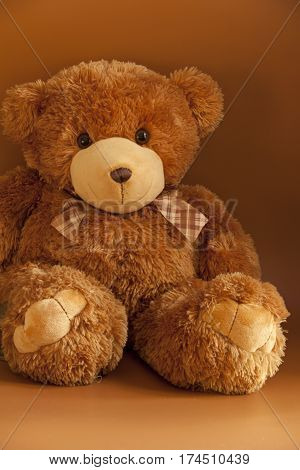 little cute teddy bear Smiles toy portrait  with tie