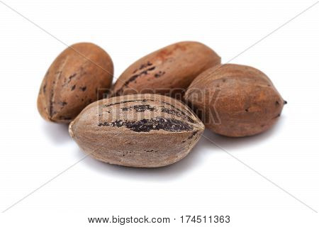 Nuts pecans in shell closeup isolated on white background
