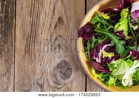 Frise, batavian, radichchio, arugula in a ceramic bowl on a wooden background. Studio Photo