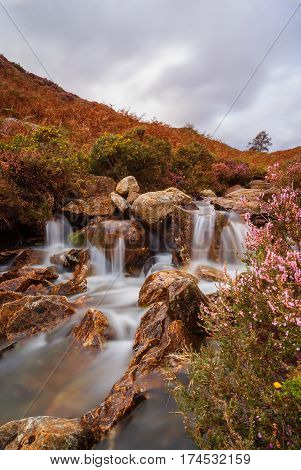 A small mountain stream in Cwm Bychan near Beddgelert in the Snowdonia National Park in North Wales. Shot with a long exposure to accentuate the flow of the water