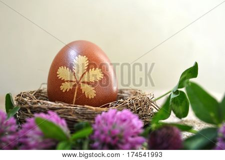 Naturally colored Easter egg and red clover flowers