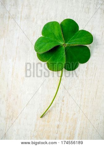 Clover Leaves On Shabby Wooden Background. The Symbolic Of Four Leaf Clover The First Is For Faith,