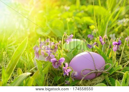 Clolorful easter eggs in nest on grass