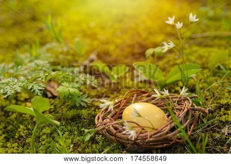 Clolorful easter eggs in nest on grass