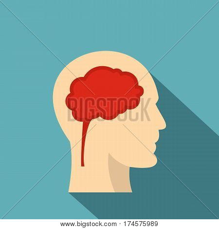 Man head silhouette with brain inside icon. Flat illustration of man head silhouette with brain inside vector icon for web isolated on baby blue background