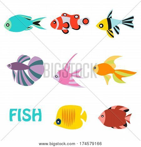 Stylized aquarium ornamental river and sea color fish