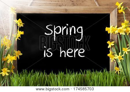 Blackboard With English Text Spring Here. Sunny Spring Flowers Nacissus Or Daffodil With Grass. Rustic Aged Wooden Background.