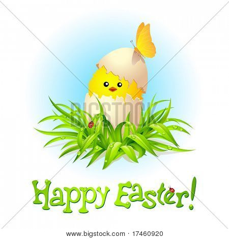 Happy Easter card with chicken on green grass.