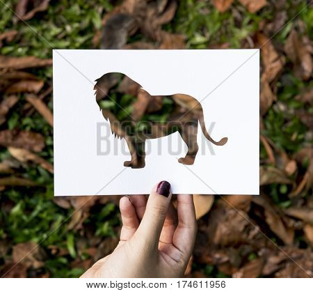 Hand Hold Lion Paper Carving with Grass Background