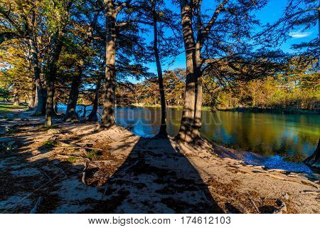 Fall Foliage On The Crystal Clear Frio River In Texas.