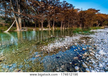 Fall Foliage On The Crystal Clear Frio River In Texas.