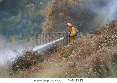 Firefighter Extinguishing Brush Fire