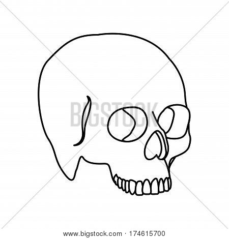 silhouette side view human skull icon flat vector illustration