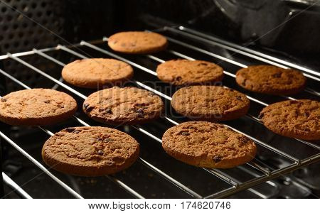 Chocolate chip cookies baking on rack in oven.