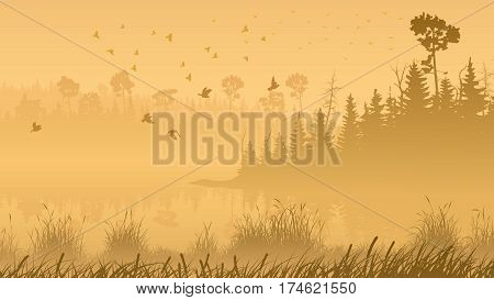 Horizontal illustration misty coniferous forest with lake and grass on shore.
