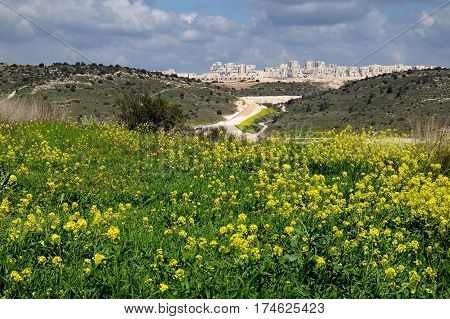 View from the blooming hills on new districts of the city of Beit Shemesh